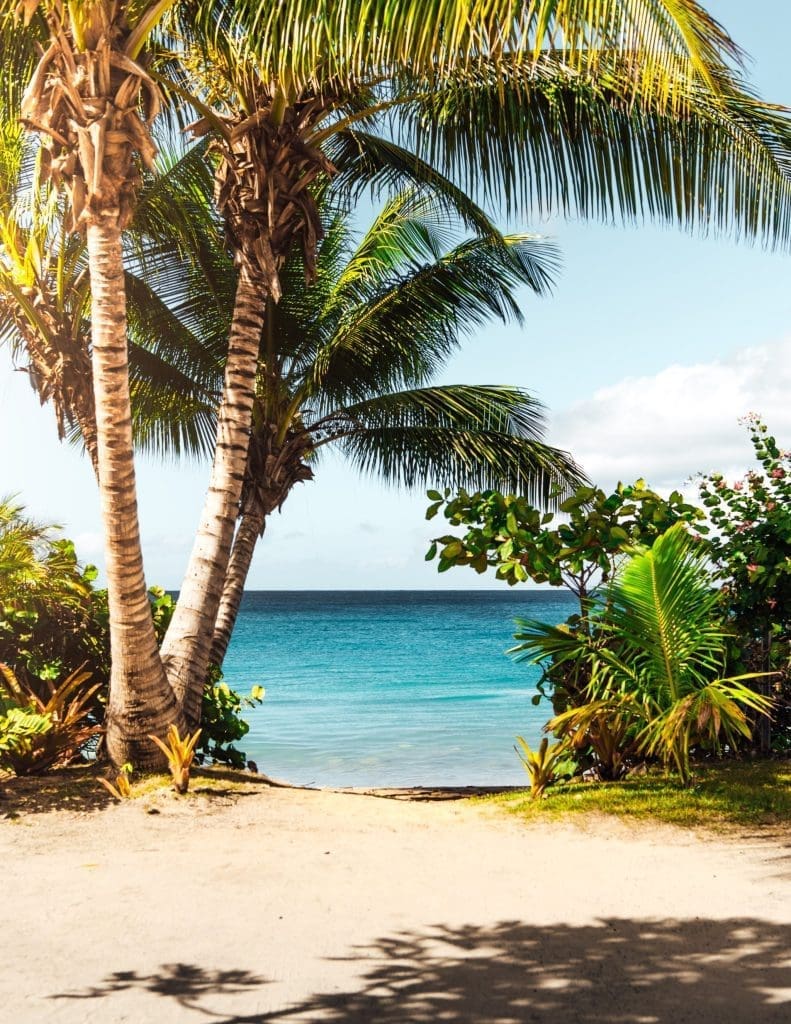 Why the Caribbean is Perfect for South Africans