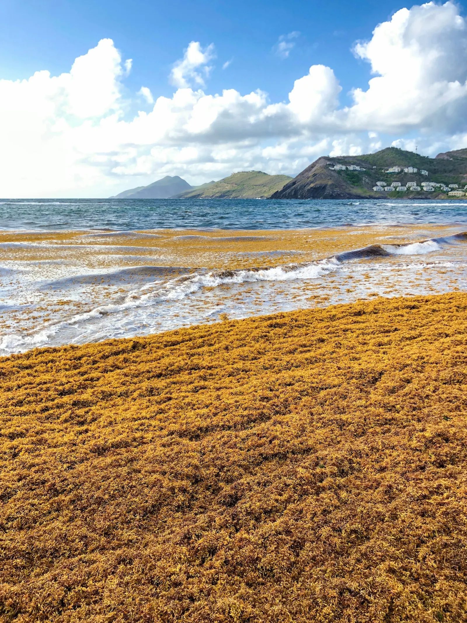 The shoreline of St Kitts with mountains in the distance