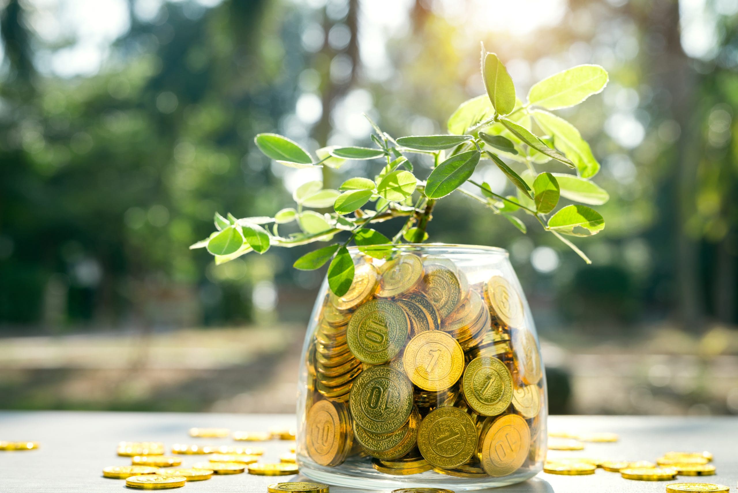 CBI Wealth Planning: A Global Strategy