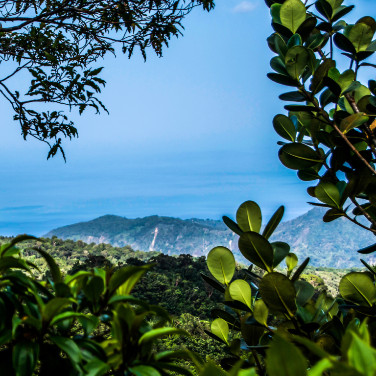 Why invest in Dominica?