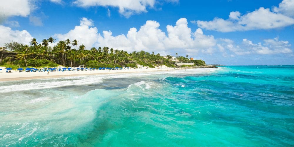 Crane beach