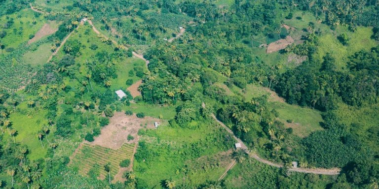 $5.3 million Caribbean Agriculture Project to benefit farmers in Dominica