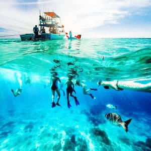 Move to the Caribbean 1