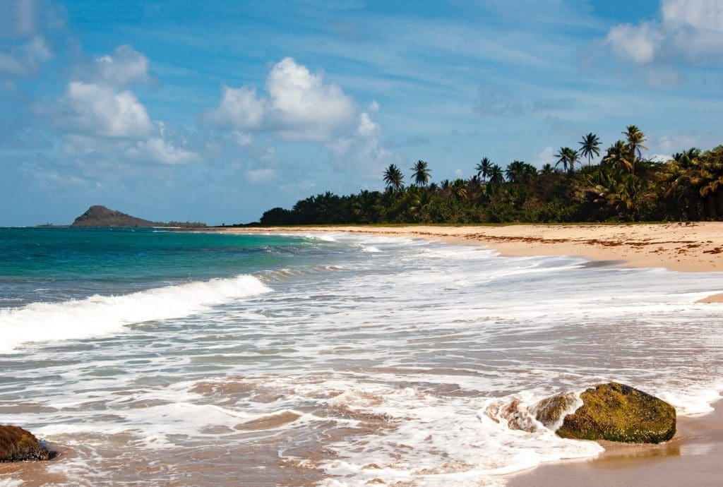 Grenada’s COVID-19 State of Emergency Halts Some, But Not all CBI Processing