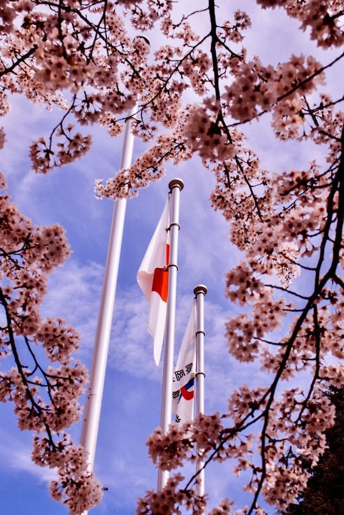 Single Citizenship vs Dual Citizenship: Japan Weighs In