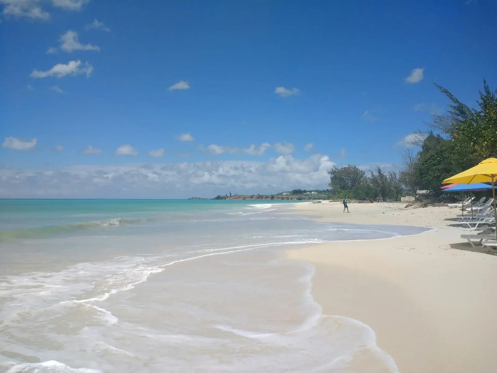 Palm trees on a white-sand beach in Antigua