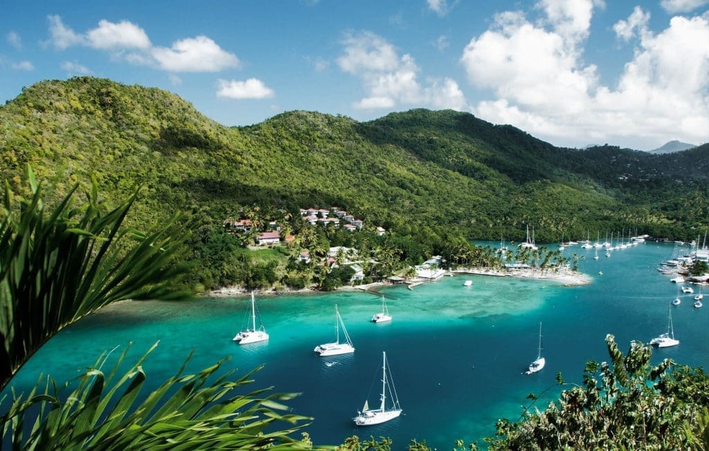 Dominica’s CBIU Accepts Online Application Submissions