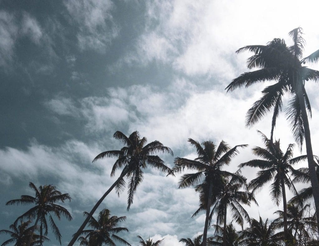 Vanuatu Programmes to Operate as Normal