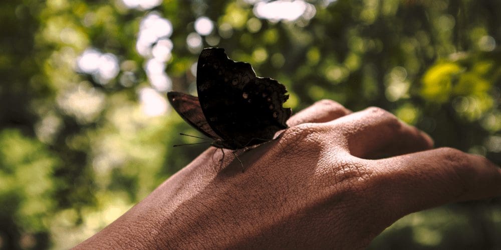 The Caribbean Sustainability Blueprint