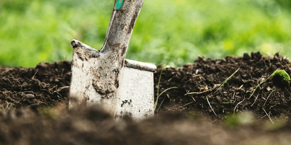 Dominica focuses on Agriculture and Tourism to Boost Economy
