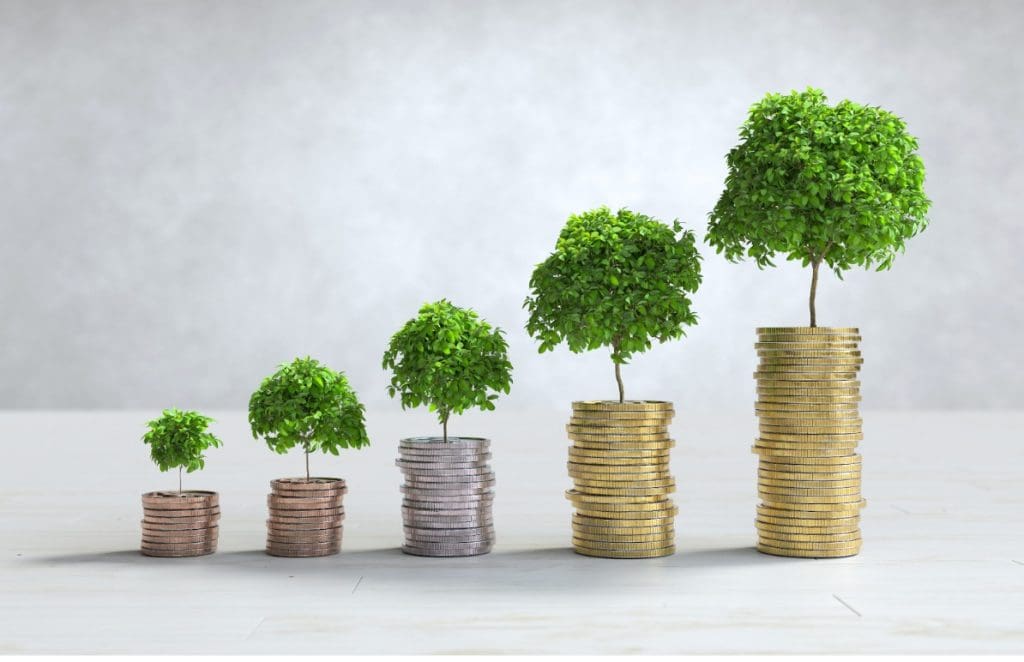 How Sustainable Investments Are Entering the Citizenship Conversation