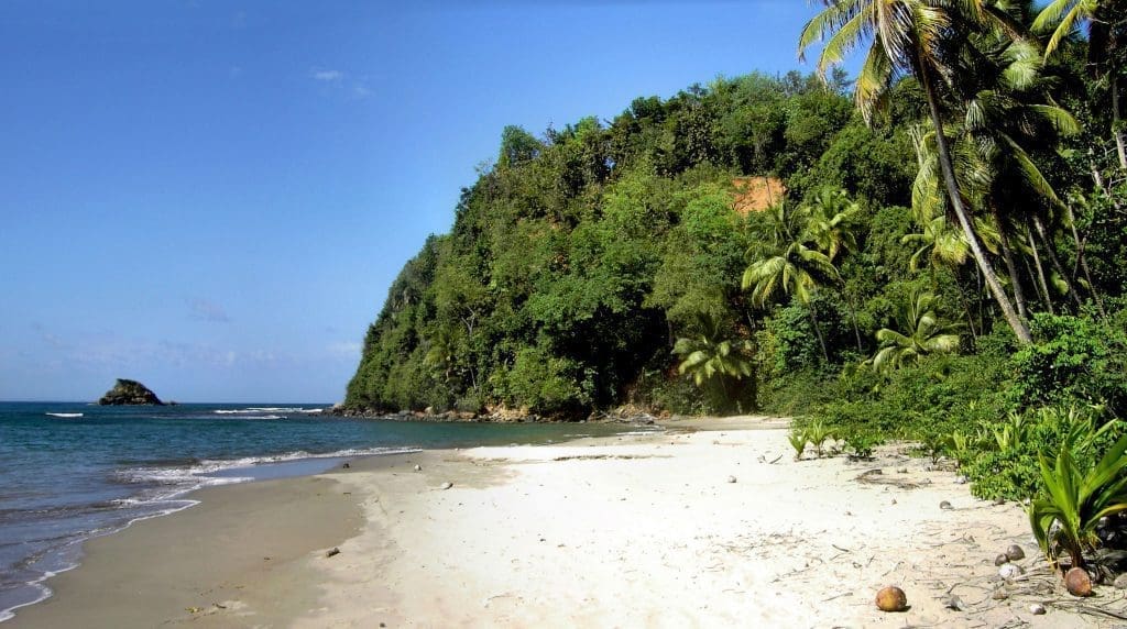 Dominica’s CBI Programme Generates over $1bn in Three Years