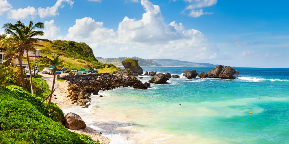 Bathsheba beach