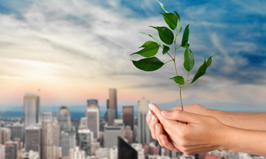 Infrastructure and Diversification Driving Sustainable Opportunity in 2026
