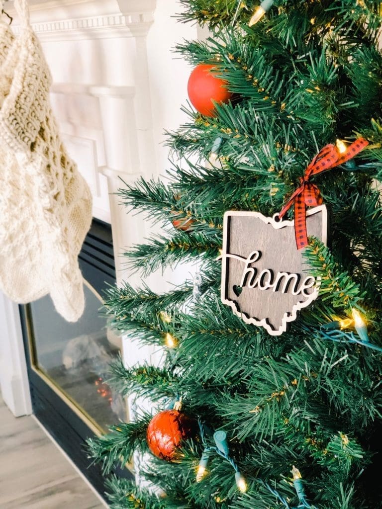 Why Dual Citizenship is the Best Christmas Gift for Your Family