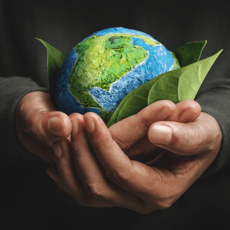 Integrating renewable energy projects with CBI in developing island states