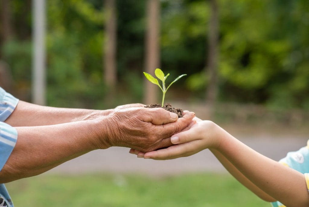 The Rise of Social Impact Investing Through CBI in 2025